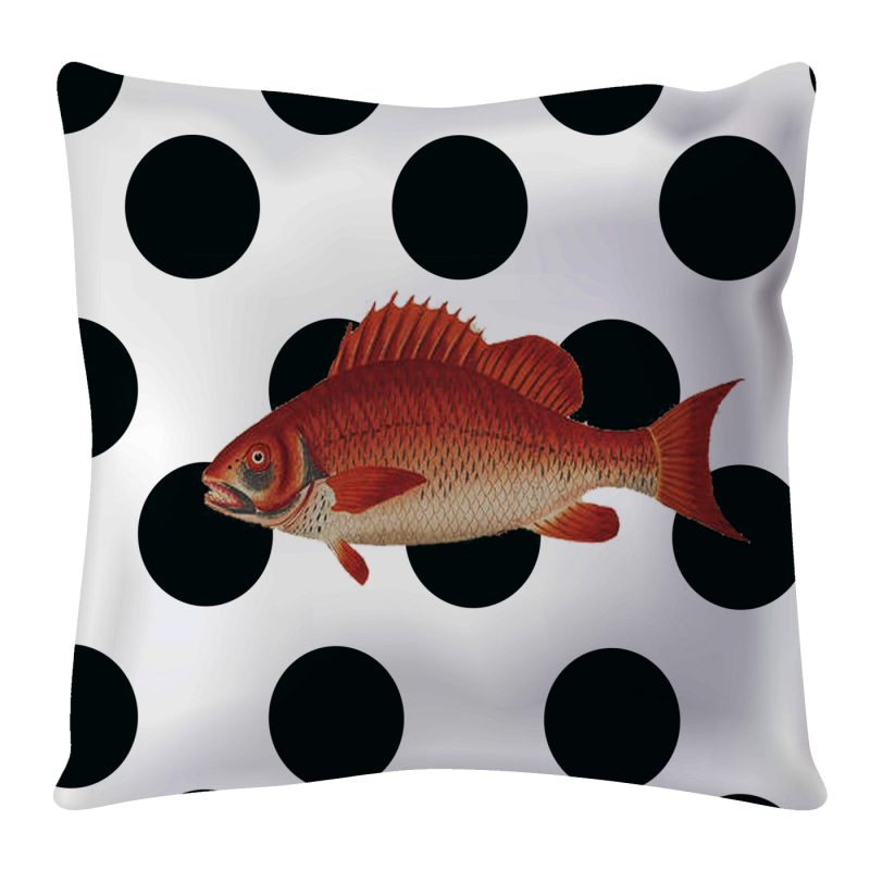 cushion fish